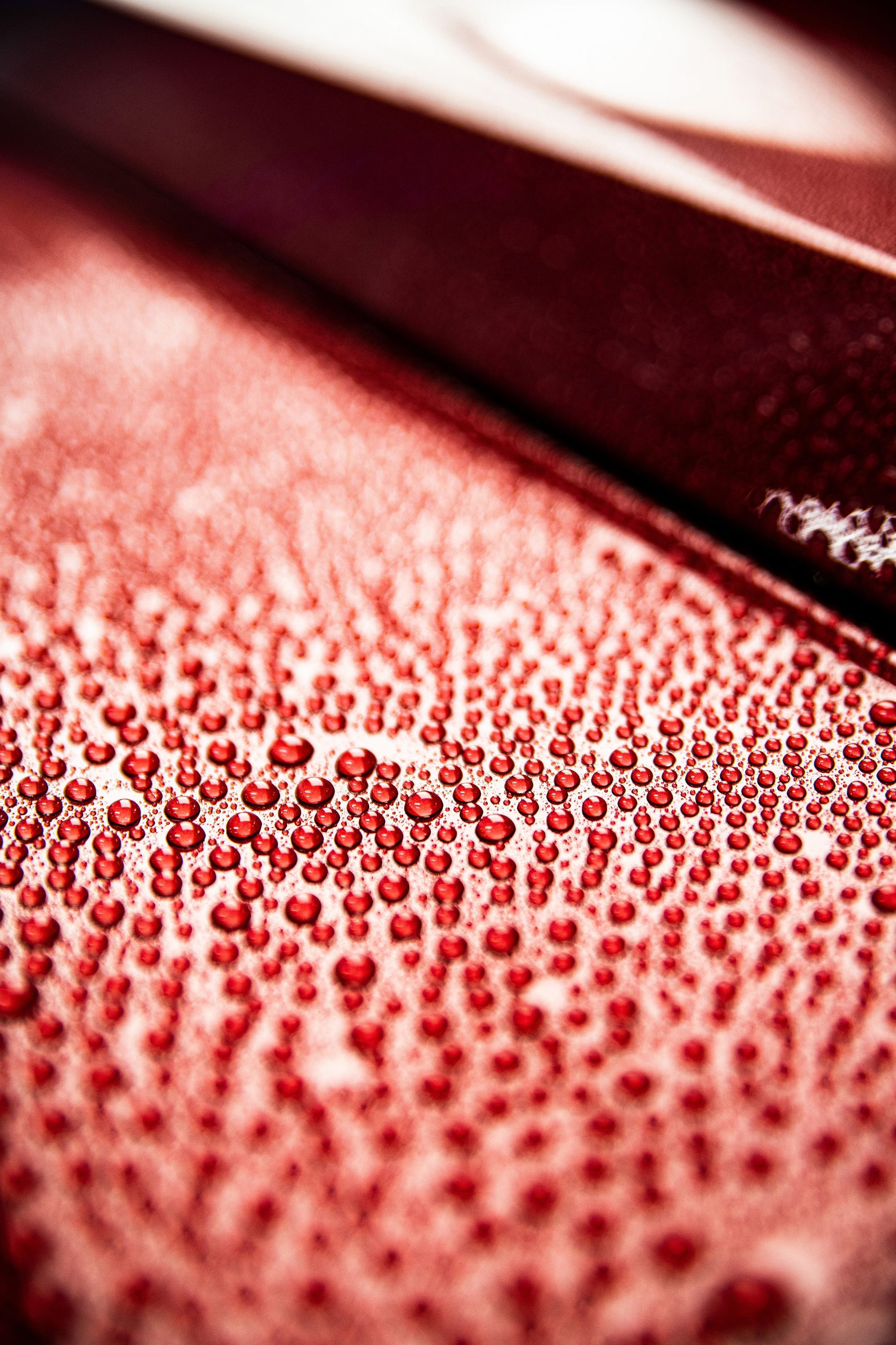 Coated vehicle paint beading water